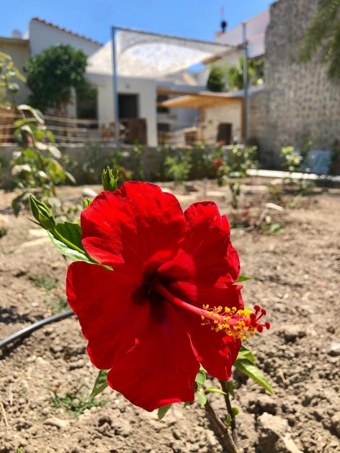 Naiades Residence Pigí المظهر الخارجي الصورة